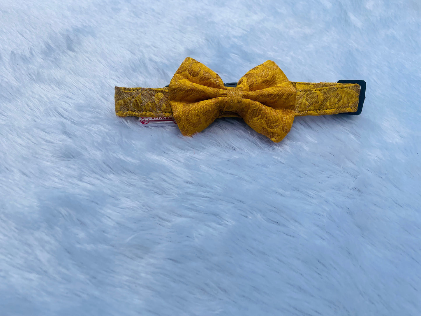 Occasion wear Bow Collar: Yellow