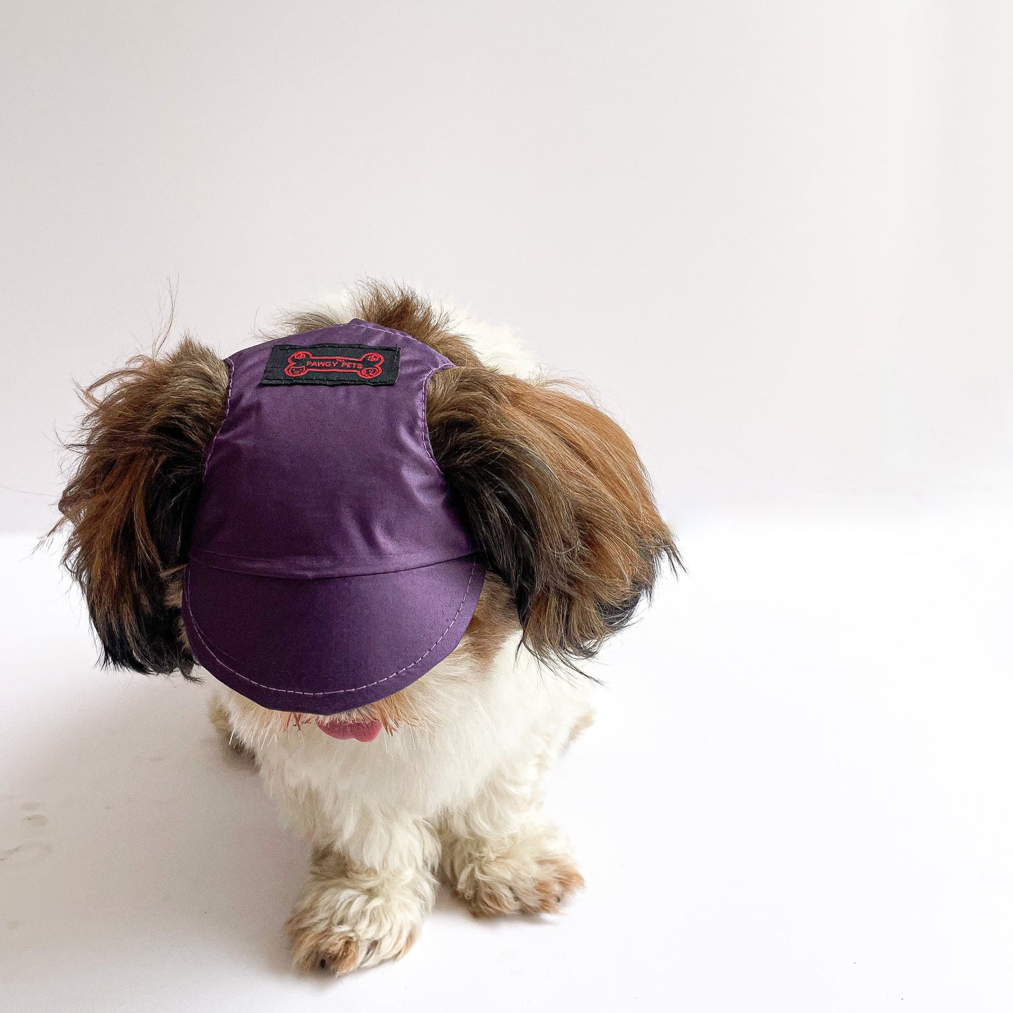 Waterproof Dog Cap: Purple