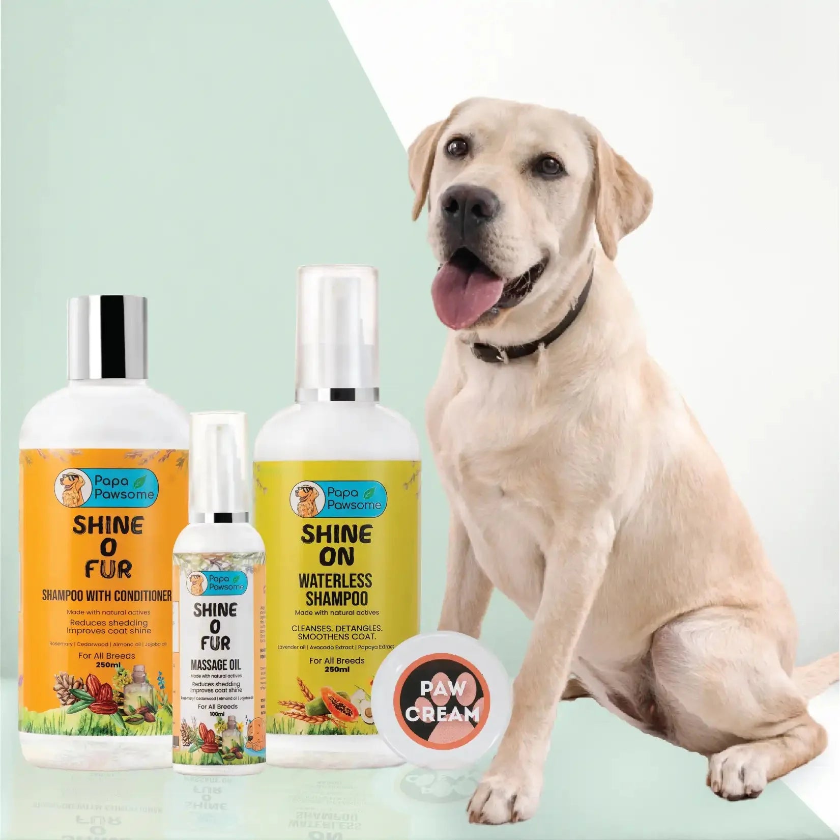 Labrador Complete Grooming Kit - Papa Pawsome