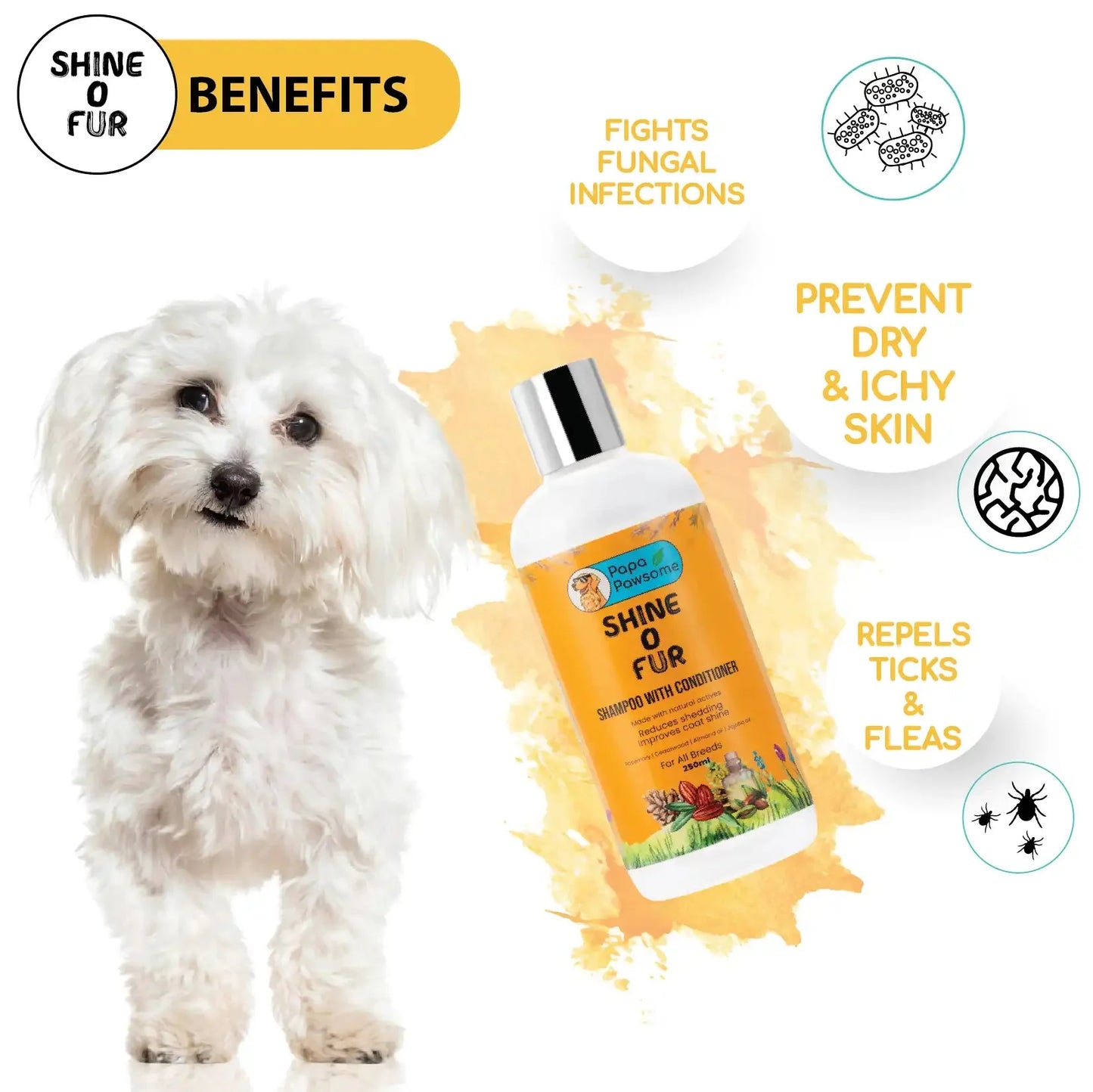 Maltese Complete Grooming kit - Papa Pawsome