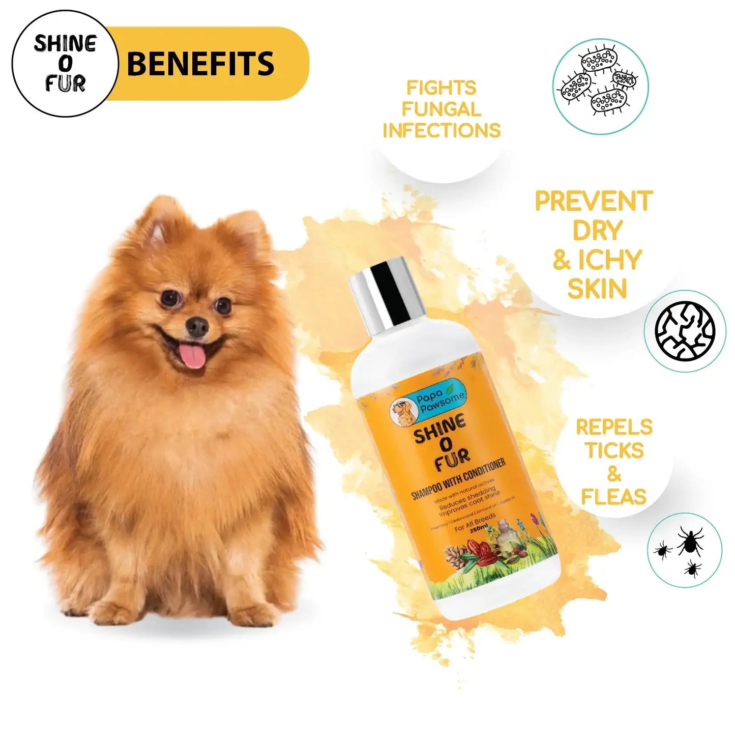 Pomeranian Complete Grooming kit - Papa Pawsome