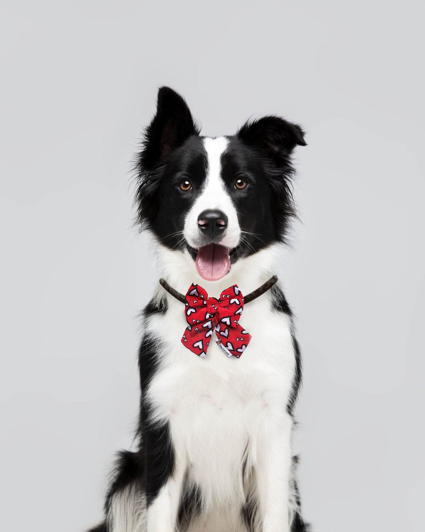 Red Heart Bow Tie