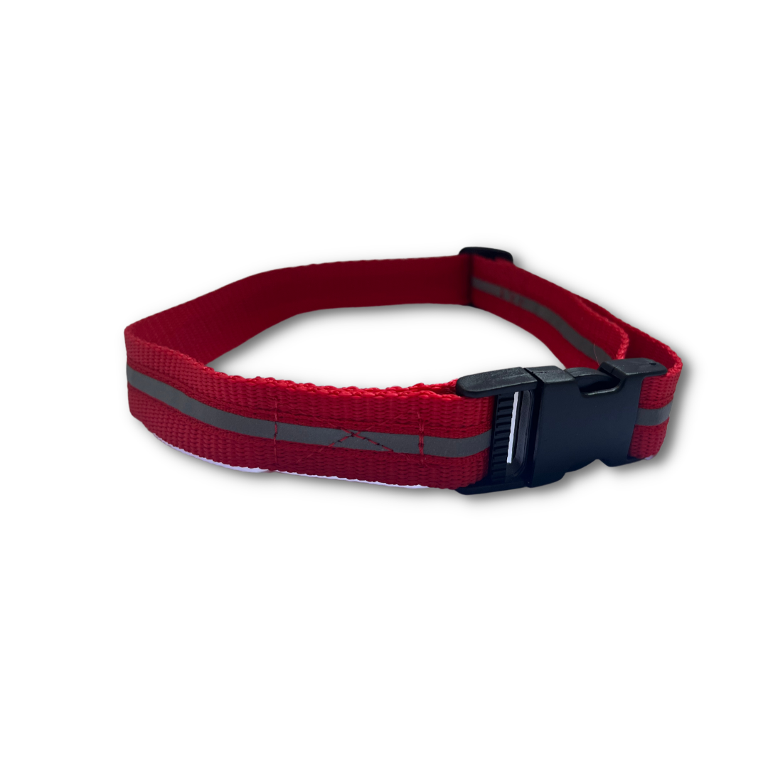 Red Reflective Collar