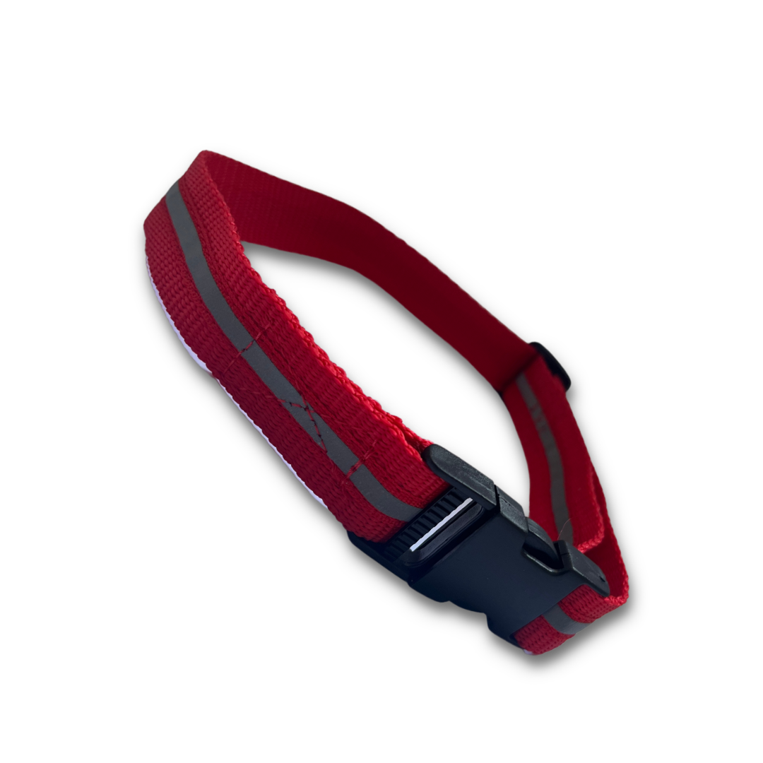 Red Reflective Collar