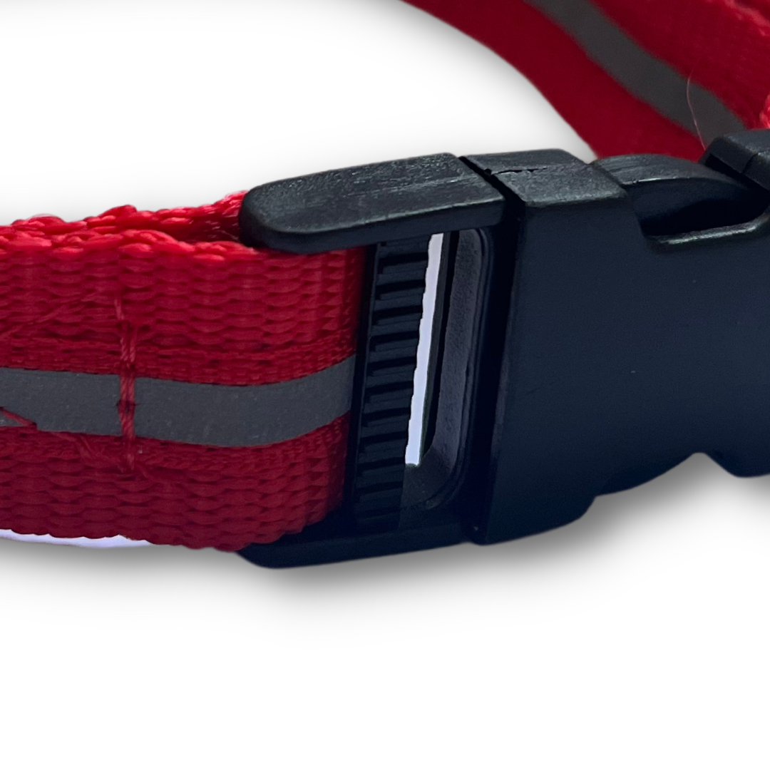 Red Reflective Collar