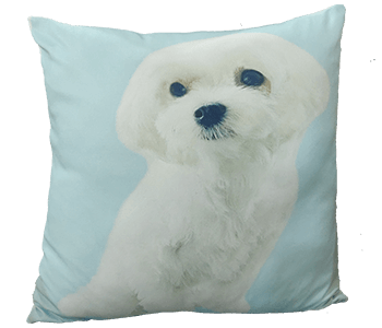 Velvet Personalised Cushion